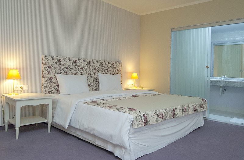 vip room hotel parish svilengrad 02
